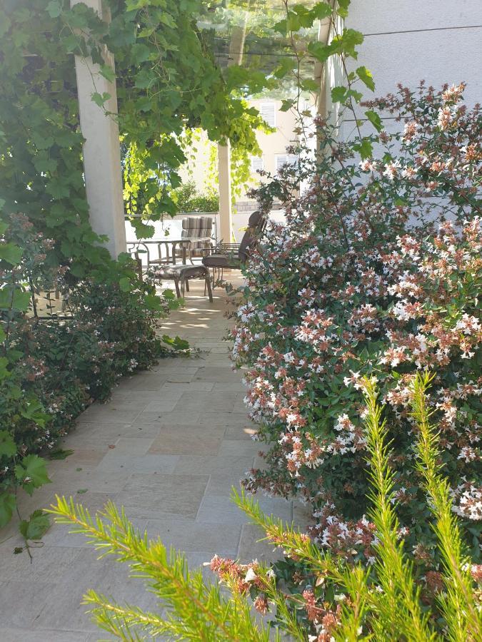 Abelia, Two Terraces, Hot Tub, Free Parking Apartment Dubrovnik Exterior photo