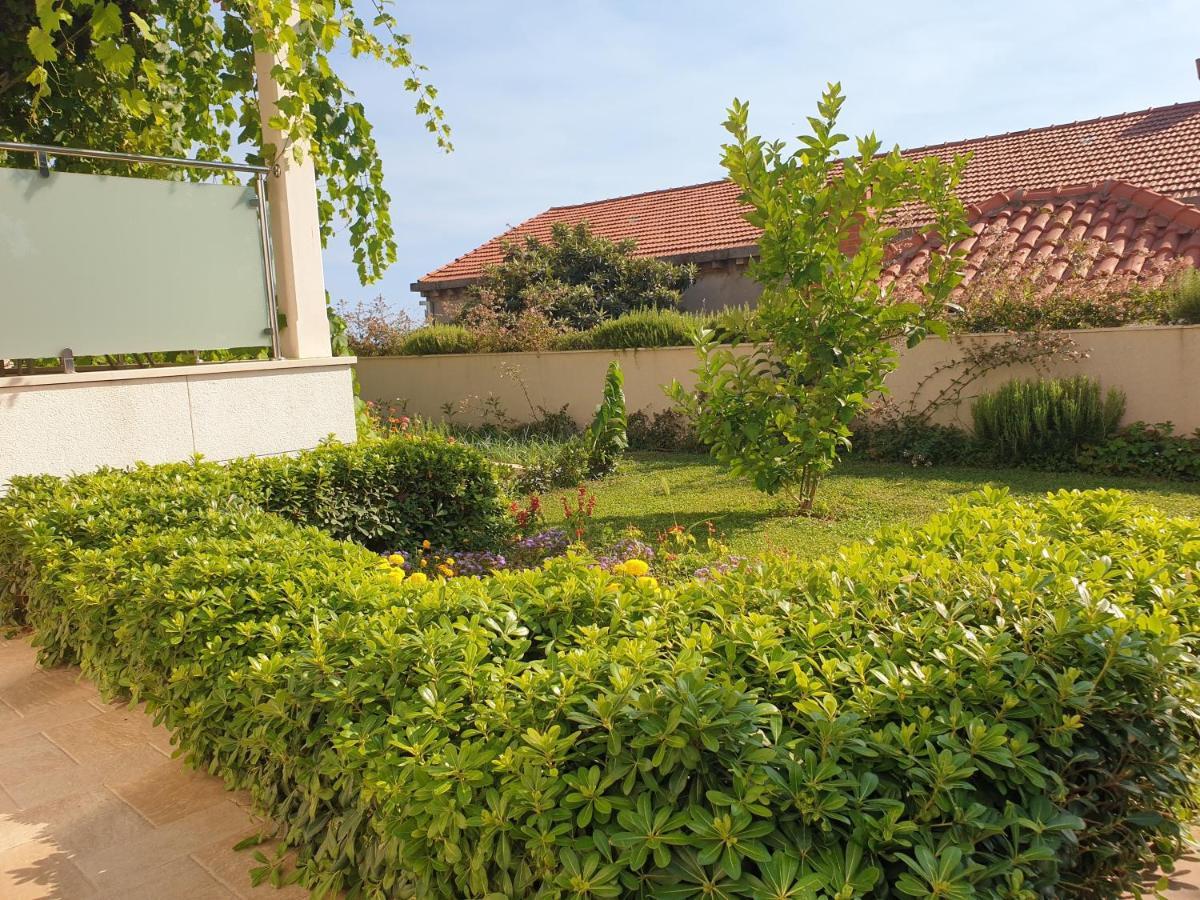 Abelia, Two Terraces, Hot Tub, Free Parking Apartment Dubrovnik Exterior photo